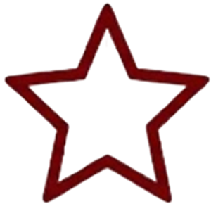 Hundreds of Five-Star Reviews and Proven Case Results