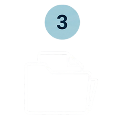 Save all paperwork, bond information, and court notices.